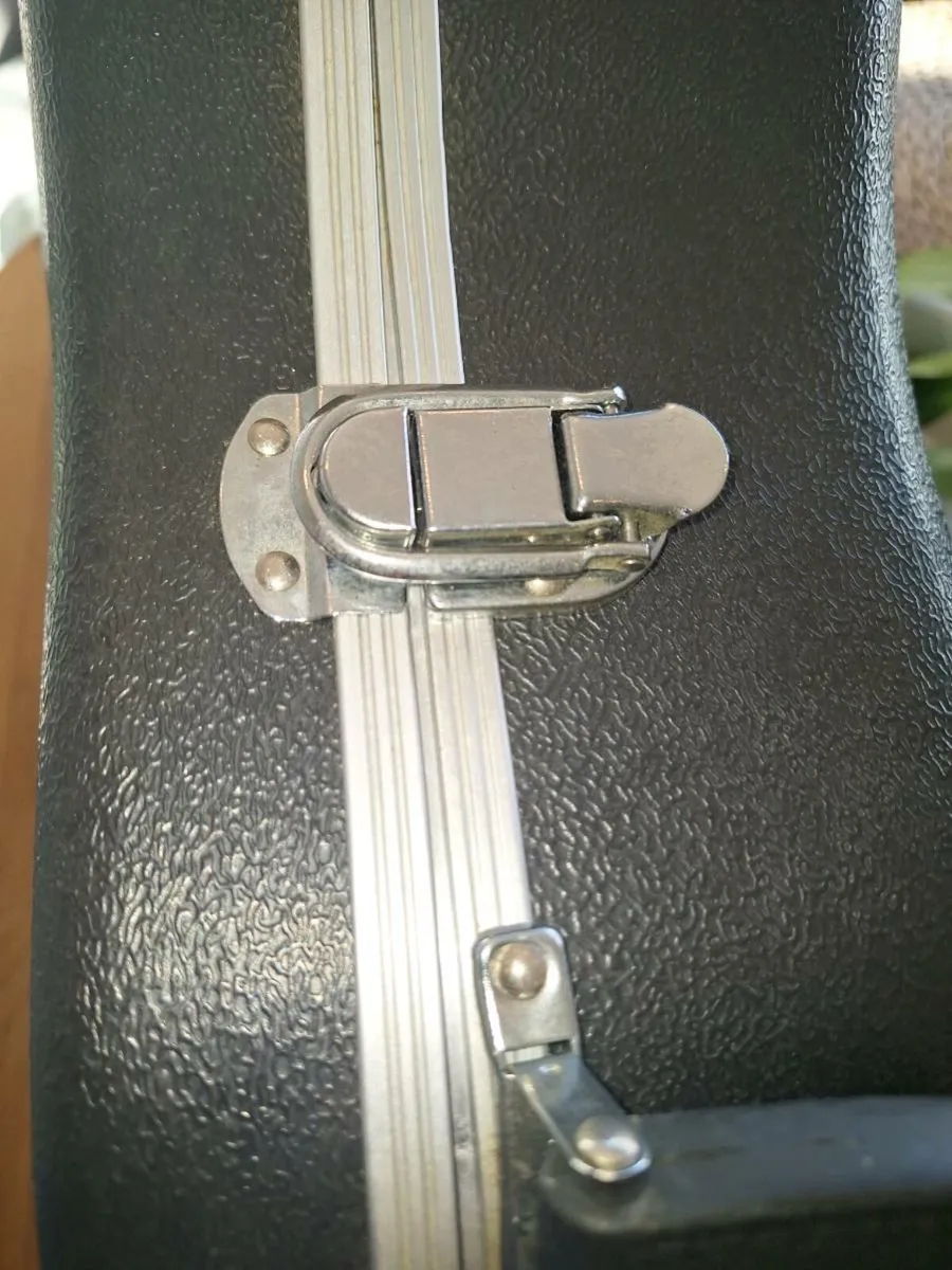 Takamine G320-NS Acoustic Guitar + CNB Hard Shell - Image 4