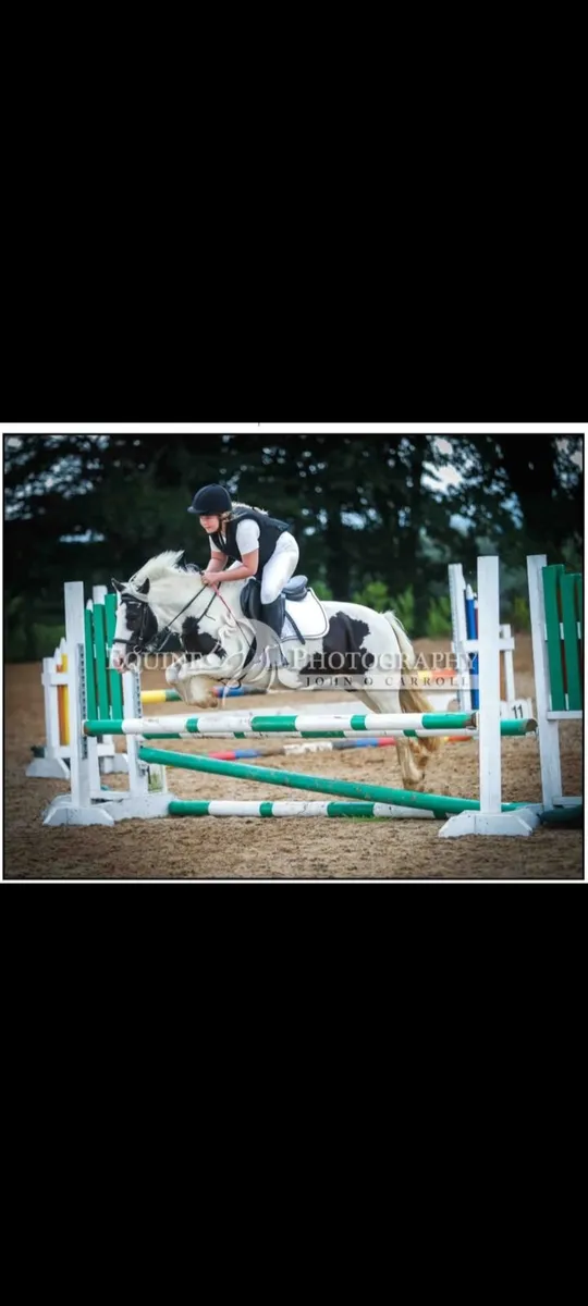 Genuine athletic 8yo 12'2 coloured pony mare