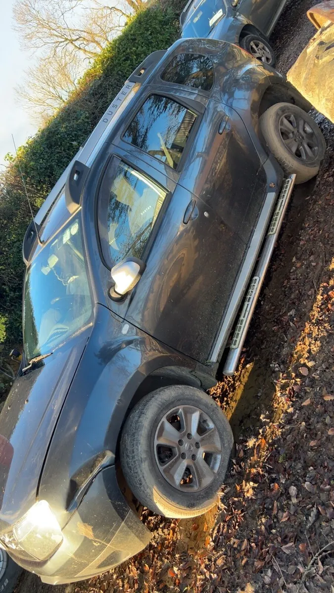 Dacia duster - Image 1