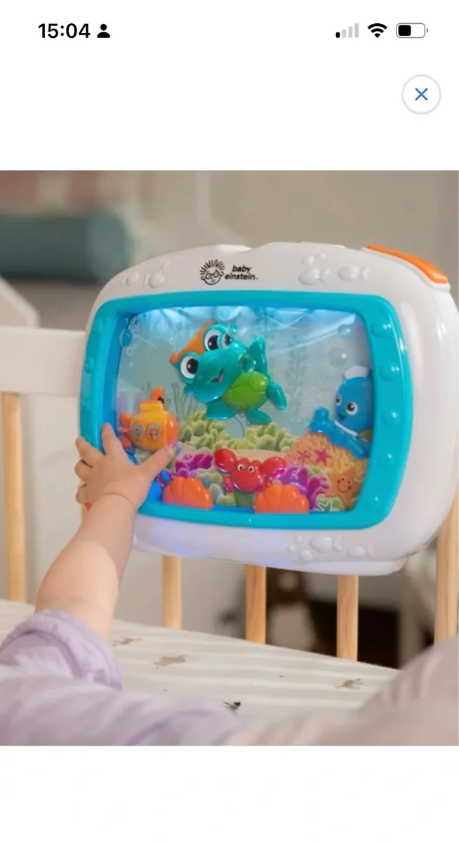 Baby Einstein Soother/ toy