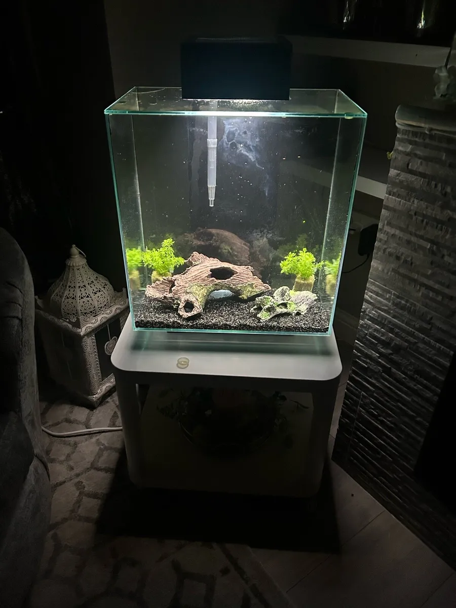 Fish Tank - Image 1
