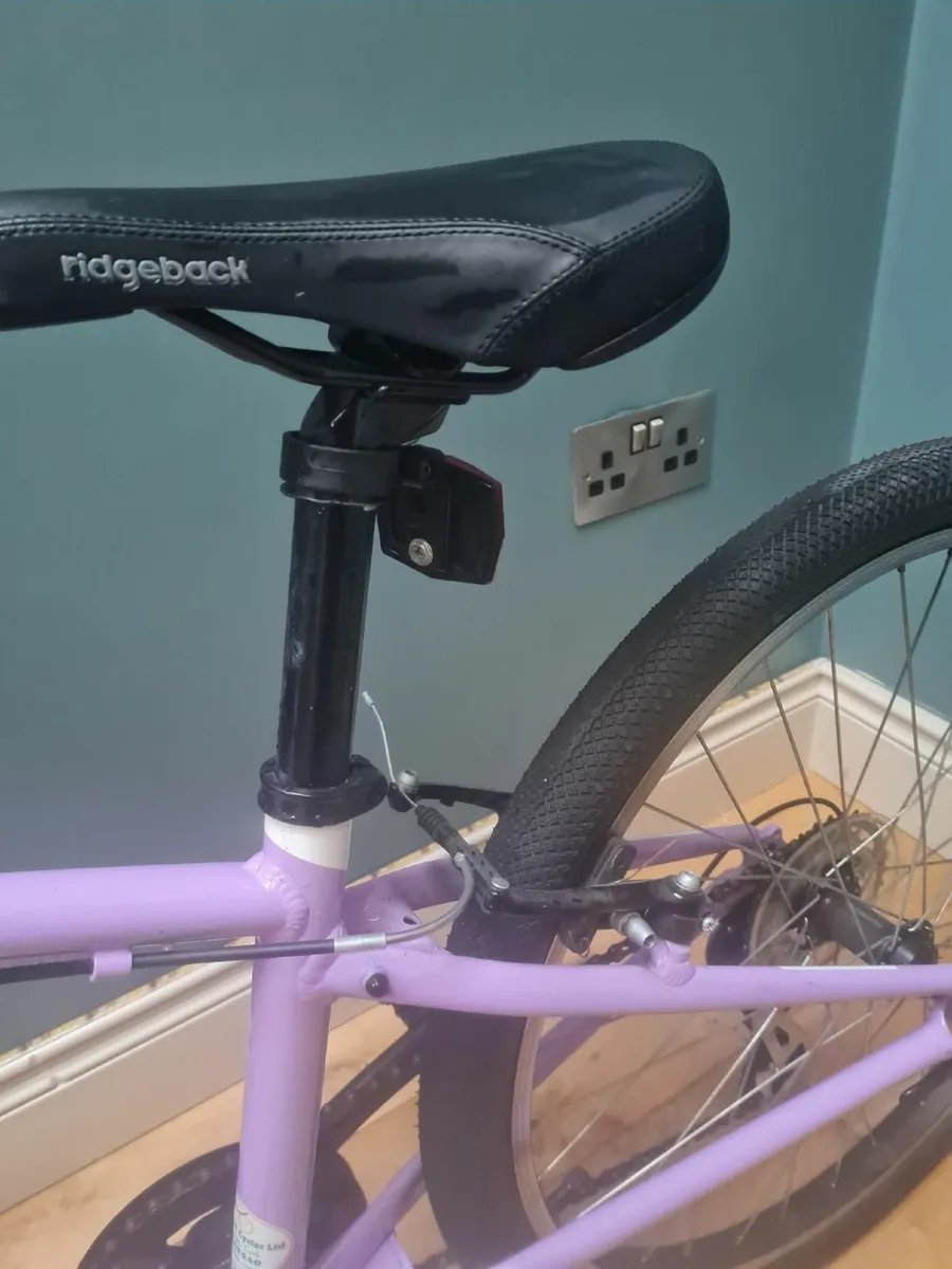 24 inch Ridgeback Bike - Image 2