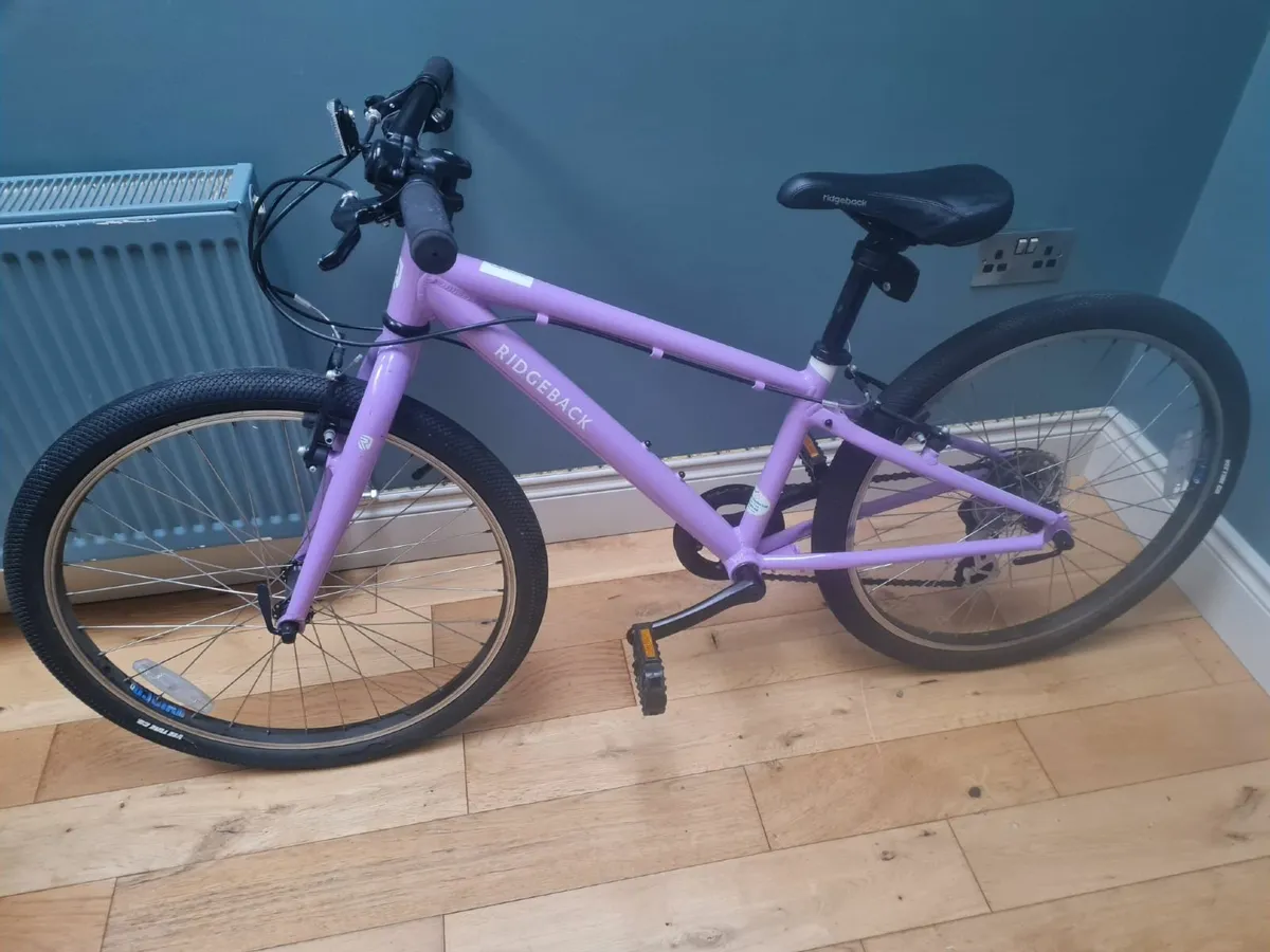 24 inch Ridgeback Bike - Image 1