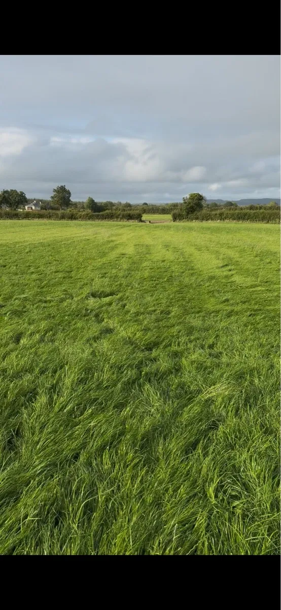 Reseeded Silage bales - Image 1