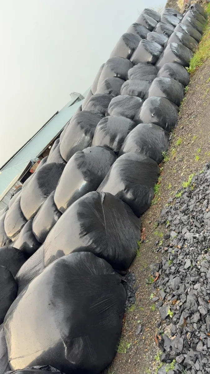 Reseeded Silage bales - Image 2