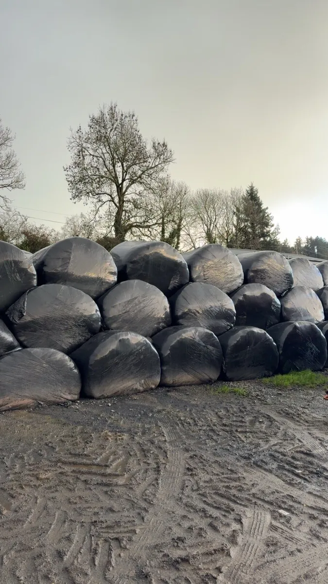 Reseeded Silage bales - Image 3