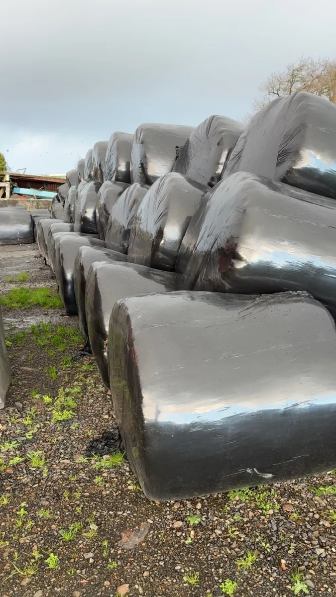 Reseeded Silage bales - Image 4