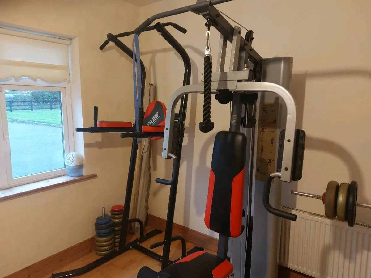 Multi Gym & Power tower - Image 1