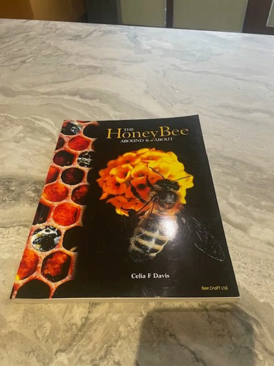 Bee Books - Image 1