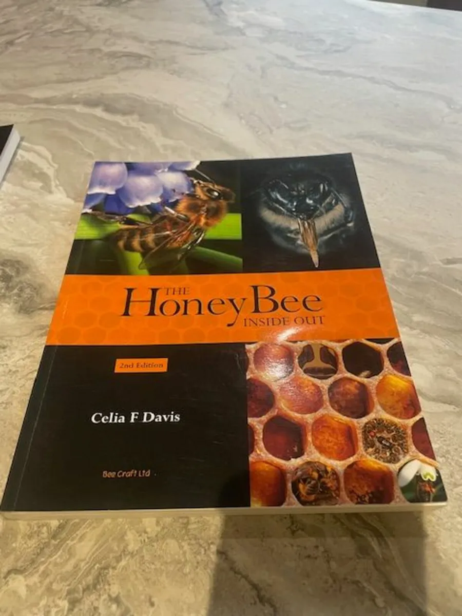Bee Books - Image 2