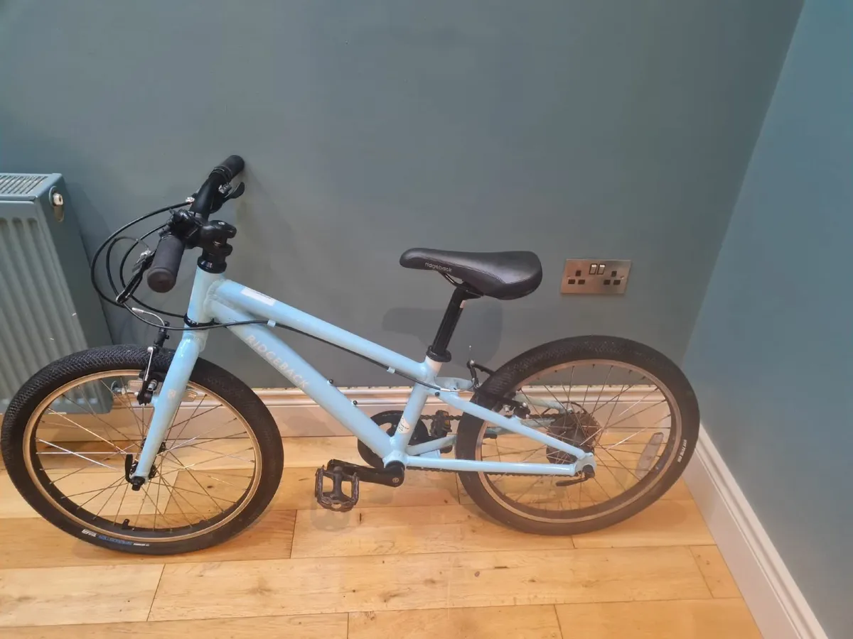 20 inch Ridgeback Bike - Image 1