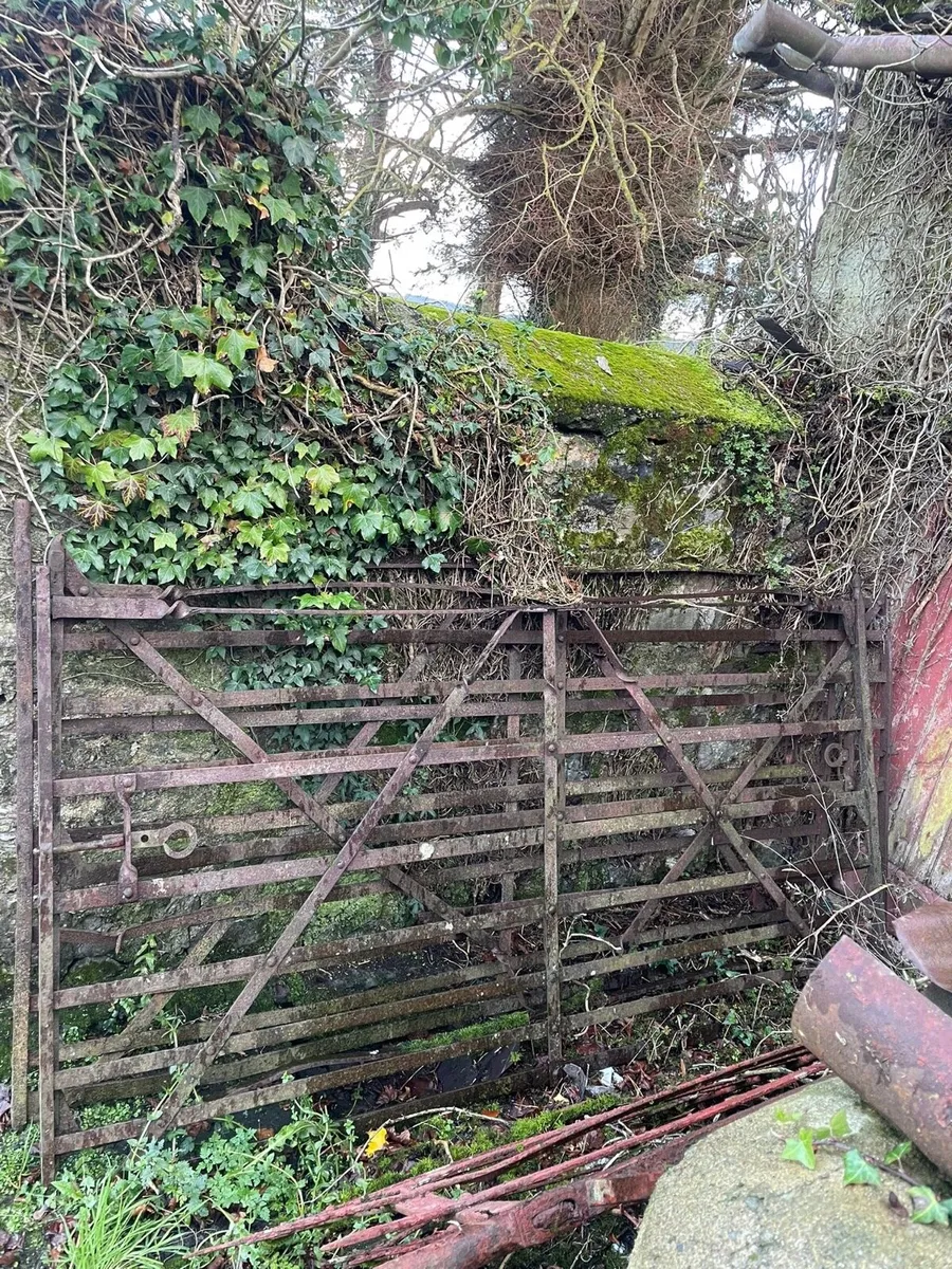 Vintage Farm Gates - Image 1