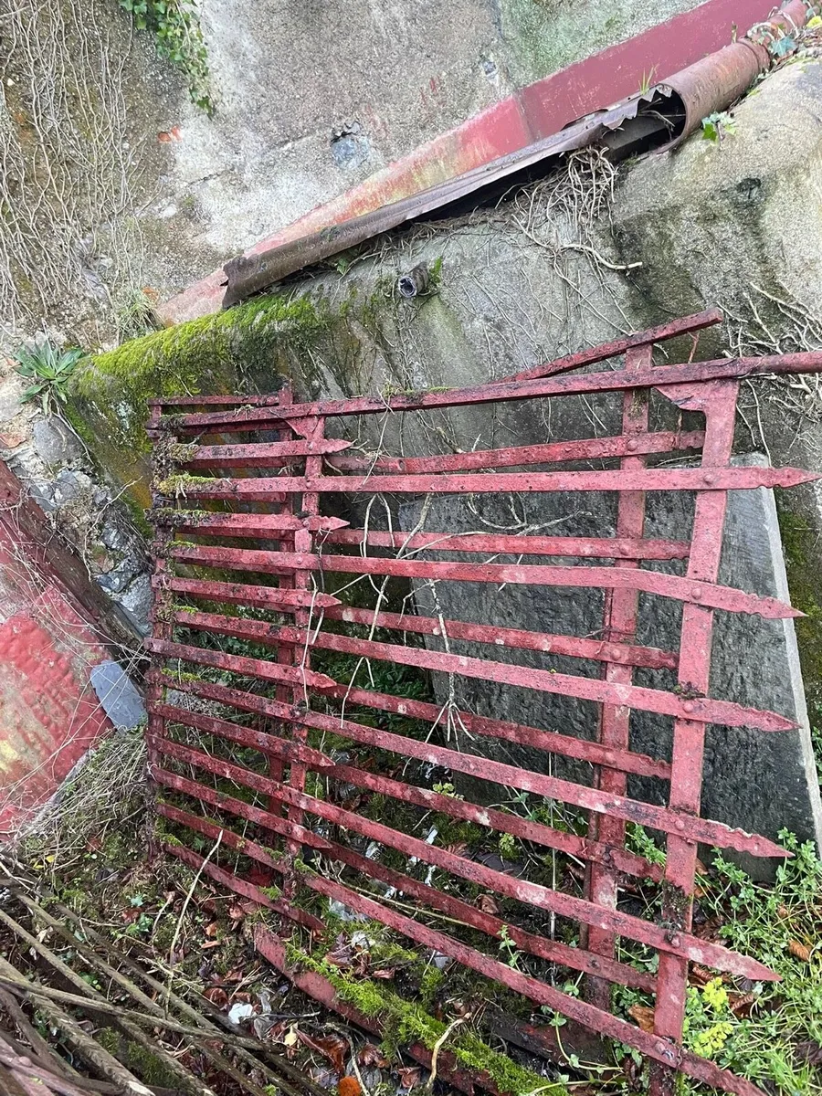Vintage Farm Gates - Image 4