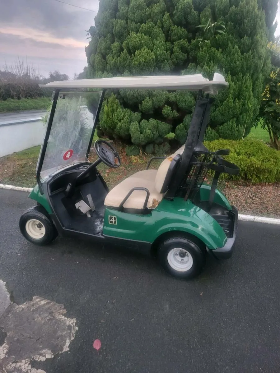 Golf buggy - Image 1
