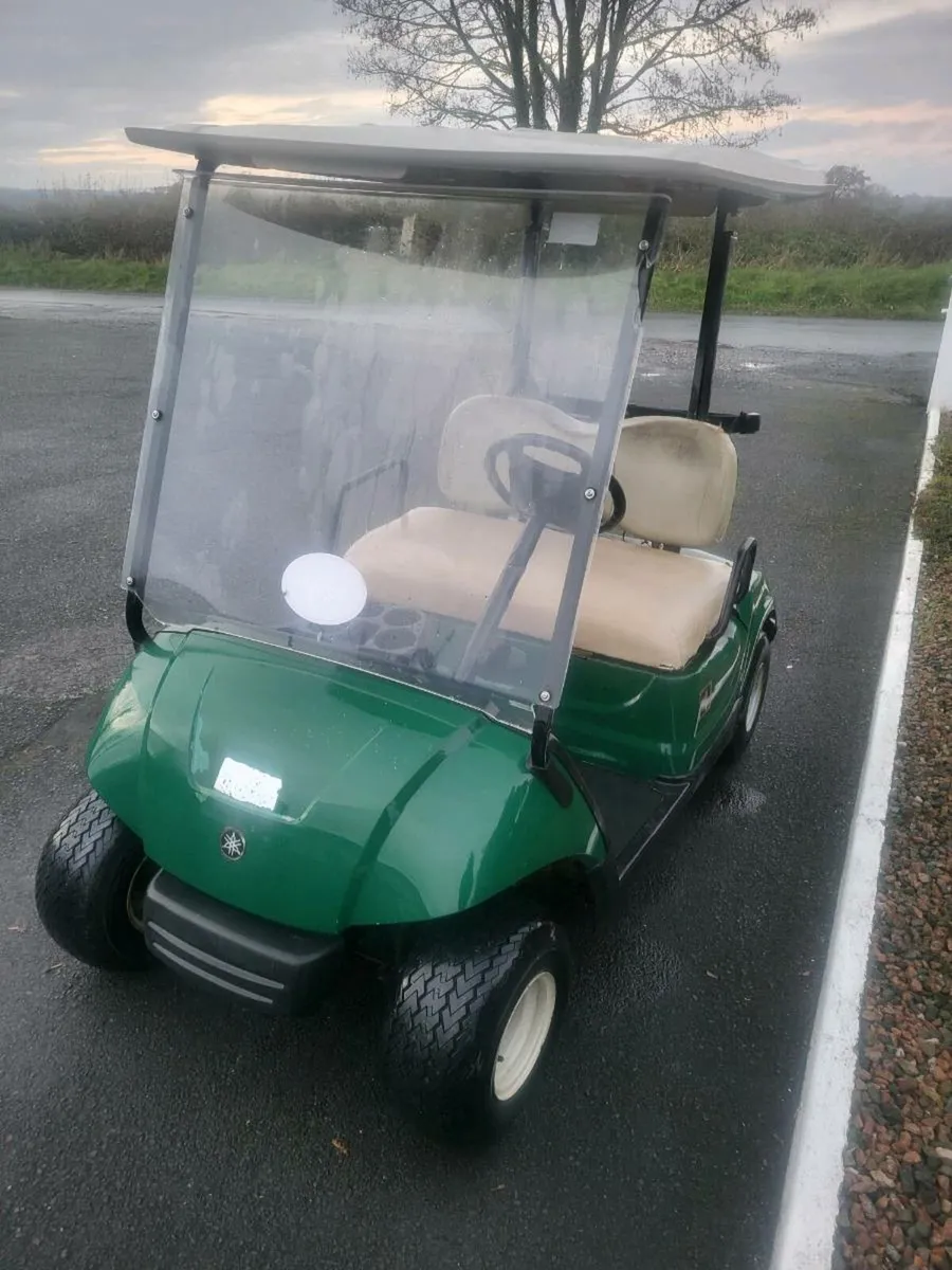 Golf buggy - Image 2