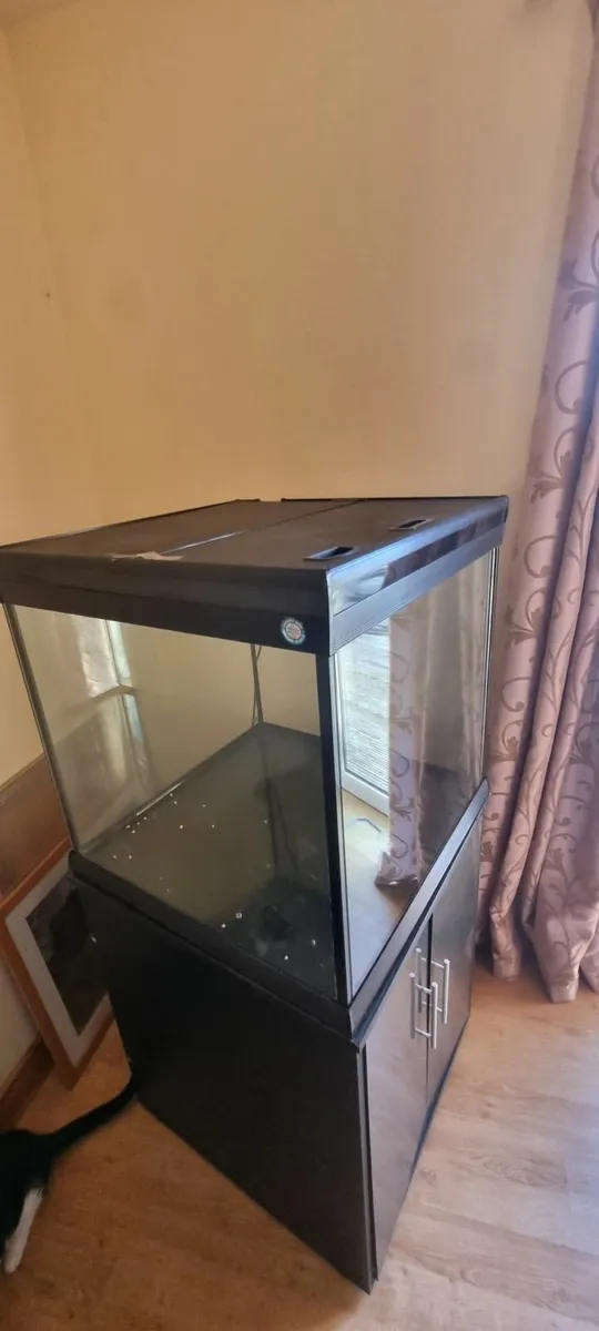 Fish tank - Image 2