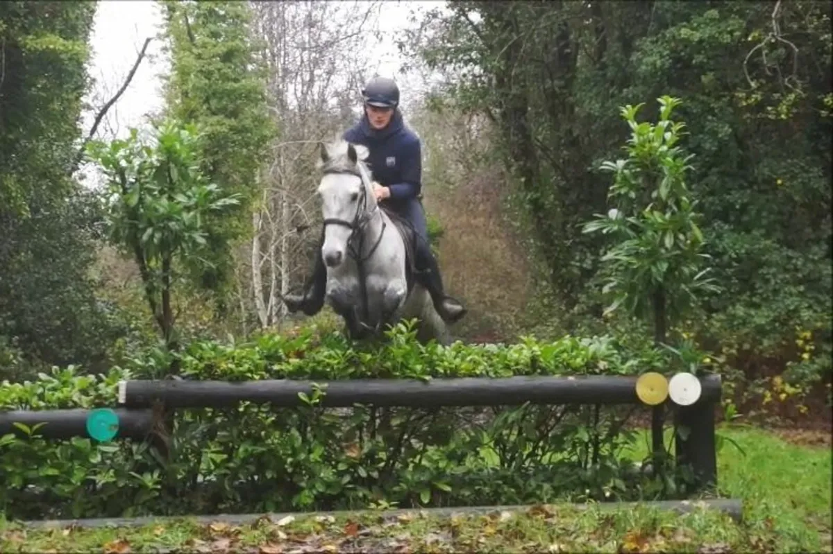 🌟 Super Oversized Connemara 🌟 - Image 3