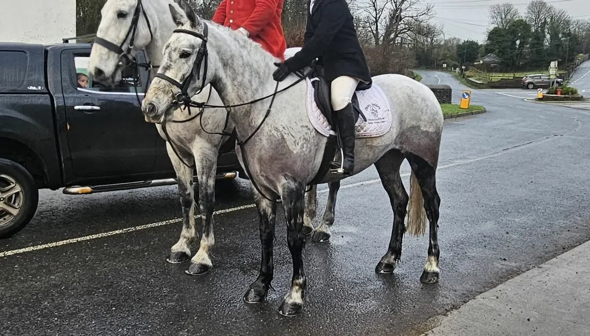 🌟 Super Oversized Connemara 🌟 - Image 4