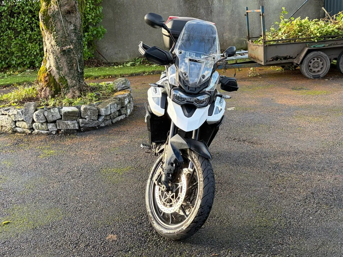 Triumph Tiger GT 900 LRH - Image 2