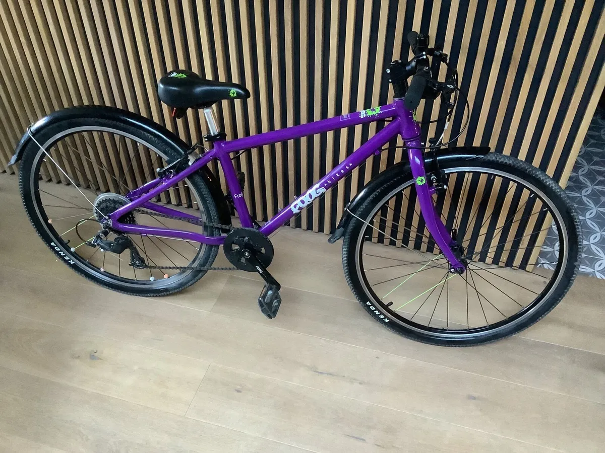 Kids Frog 69 bike - Image 1