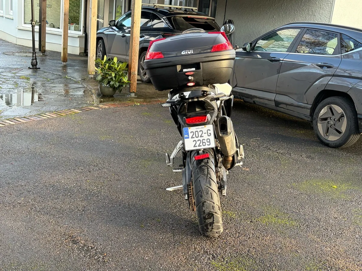 Triumph Tiger GT 900 LRH - Image 3