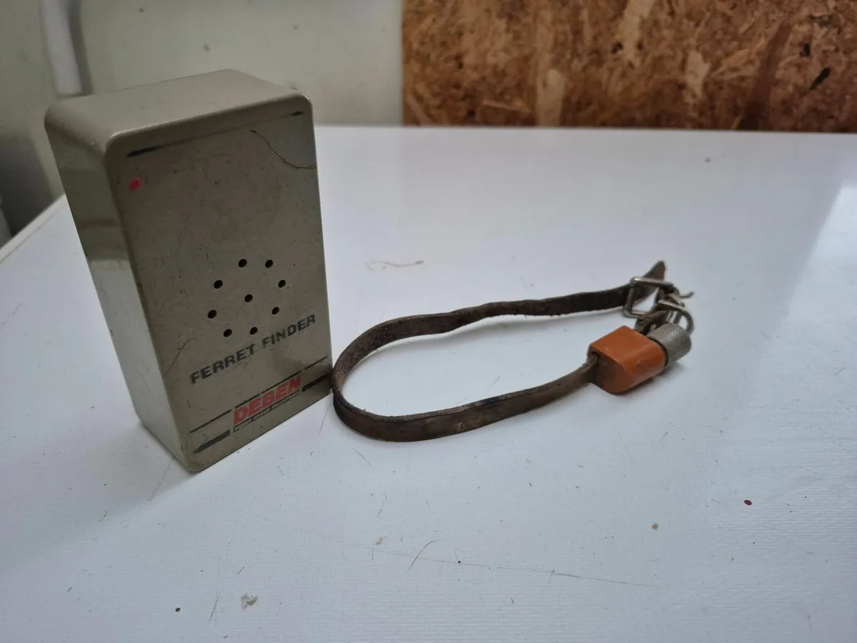 Terrier /Ferret Collar and Box