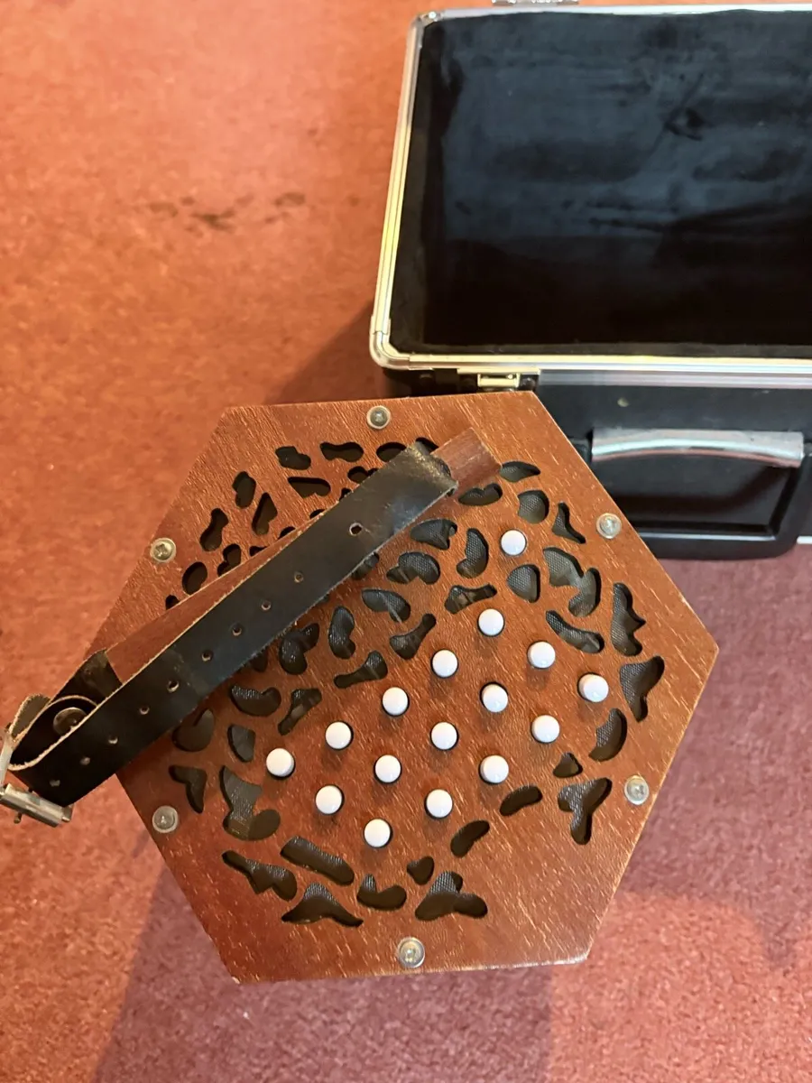 Concertina - Image 3