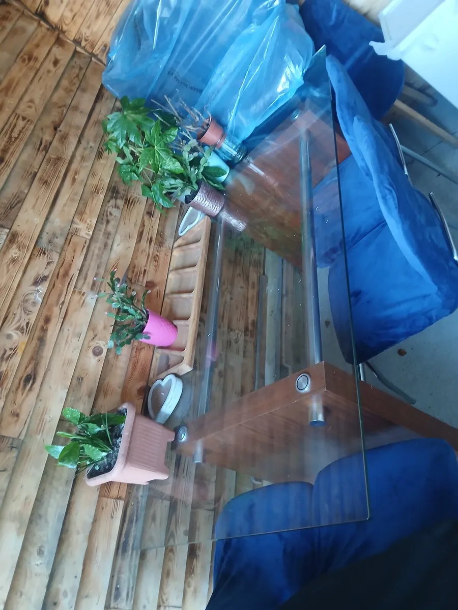 Glass table with 6 chairs