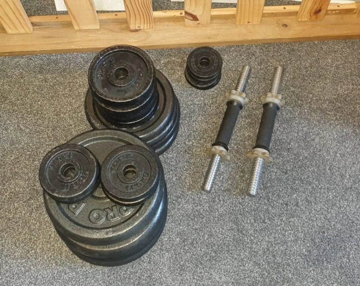 Dumbell Weights / Plates - Image 1
