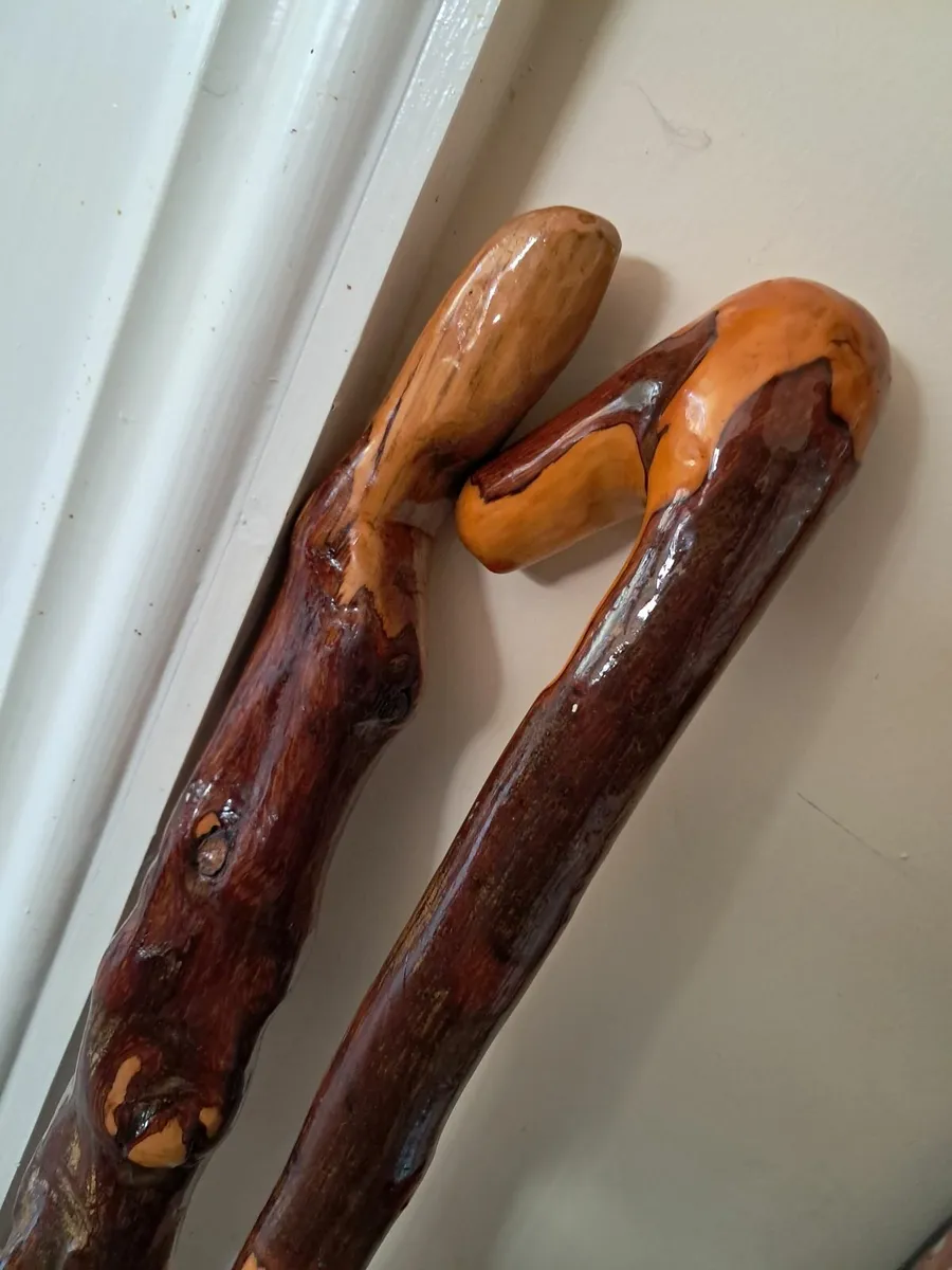 Handmade Blackthorn walking stick - Image 1