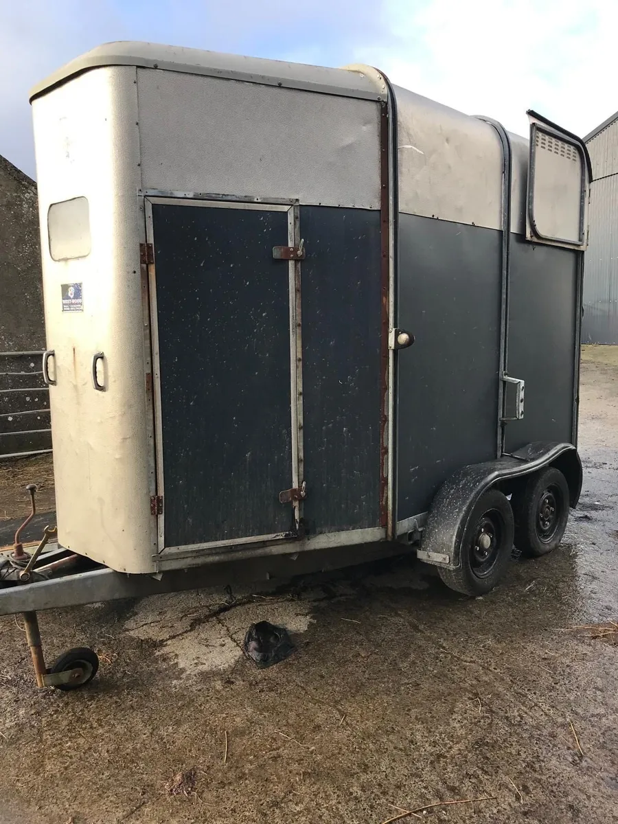 Ifor Williams horse box - Image 1