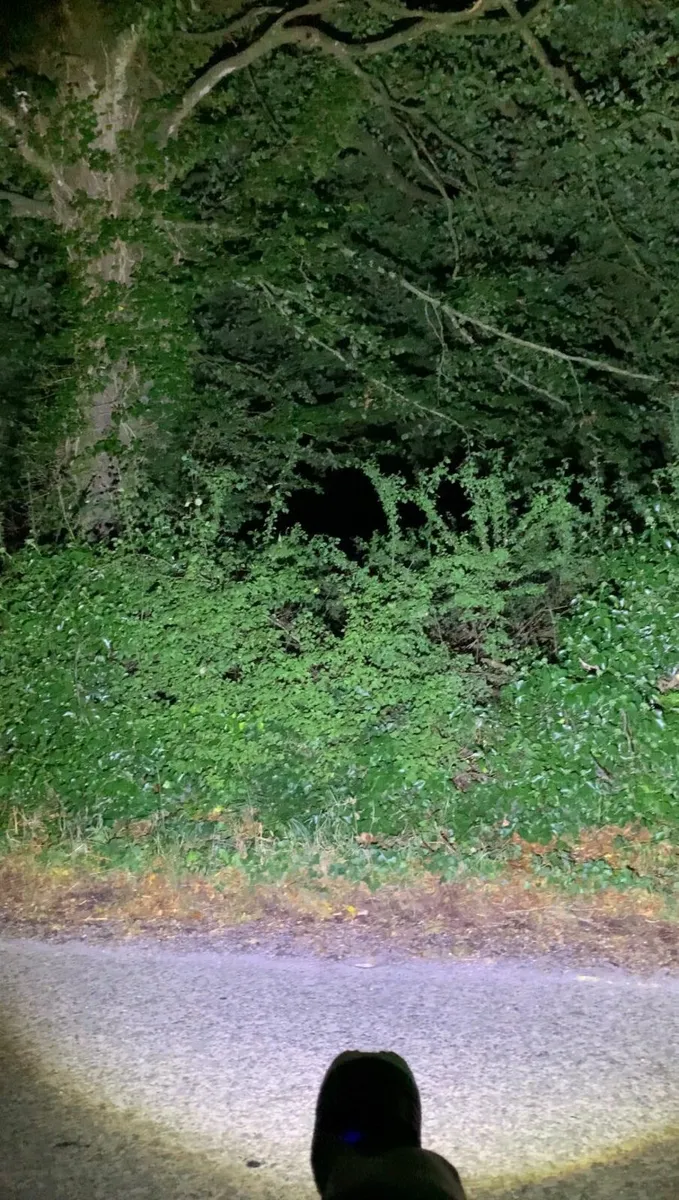 Torch powerful flash light - Image 2