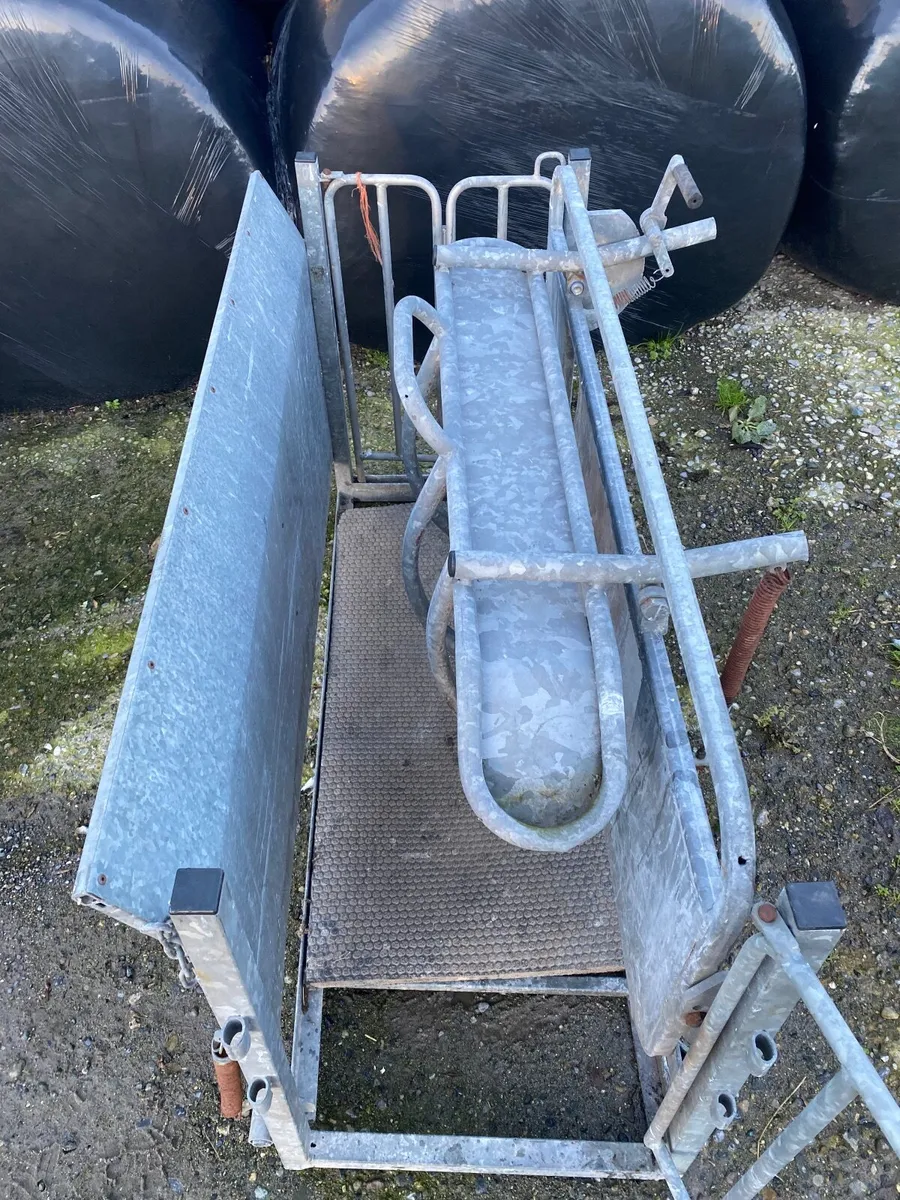 Cormac Sheep Turnover Crate - Image 1