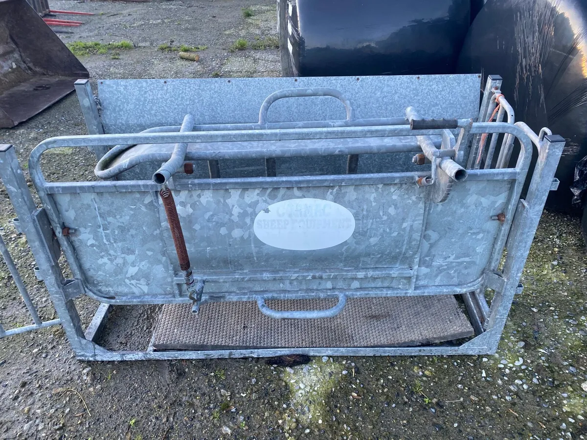 Cormac Sheep Turnover Crate - Image 2