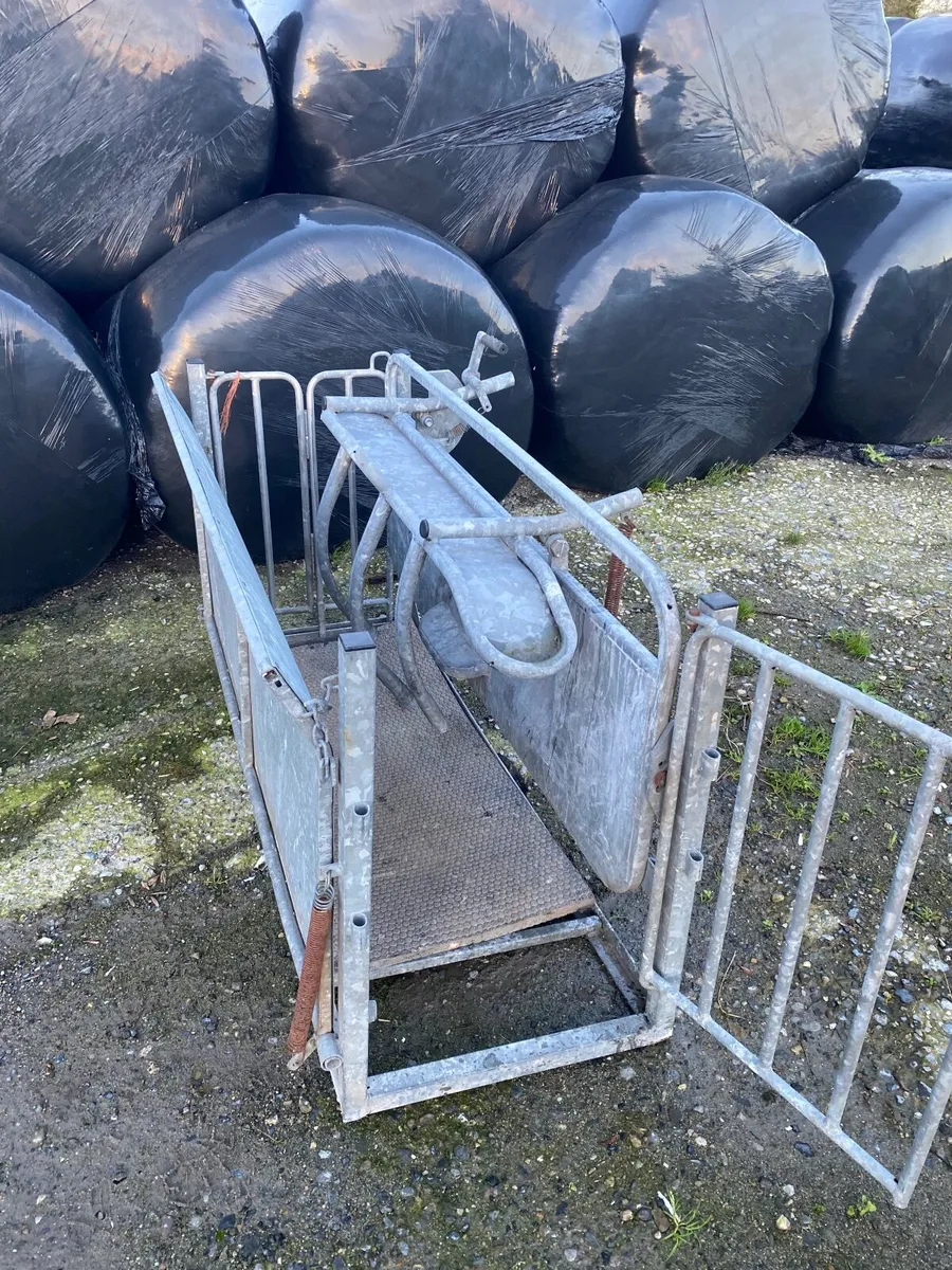 Cormac Sheep Turnover Crate - Image 3