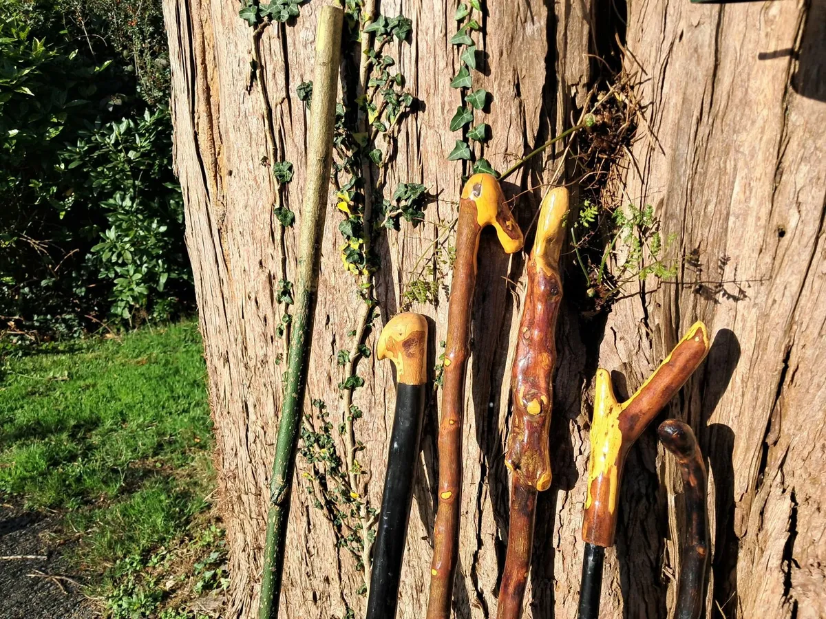 Handmade Blackthorn walking stick - Image 2