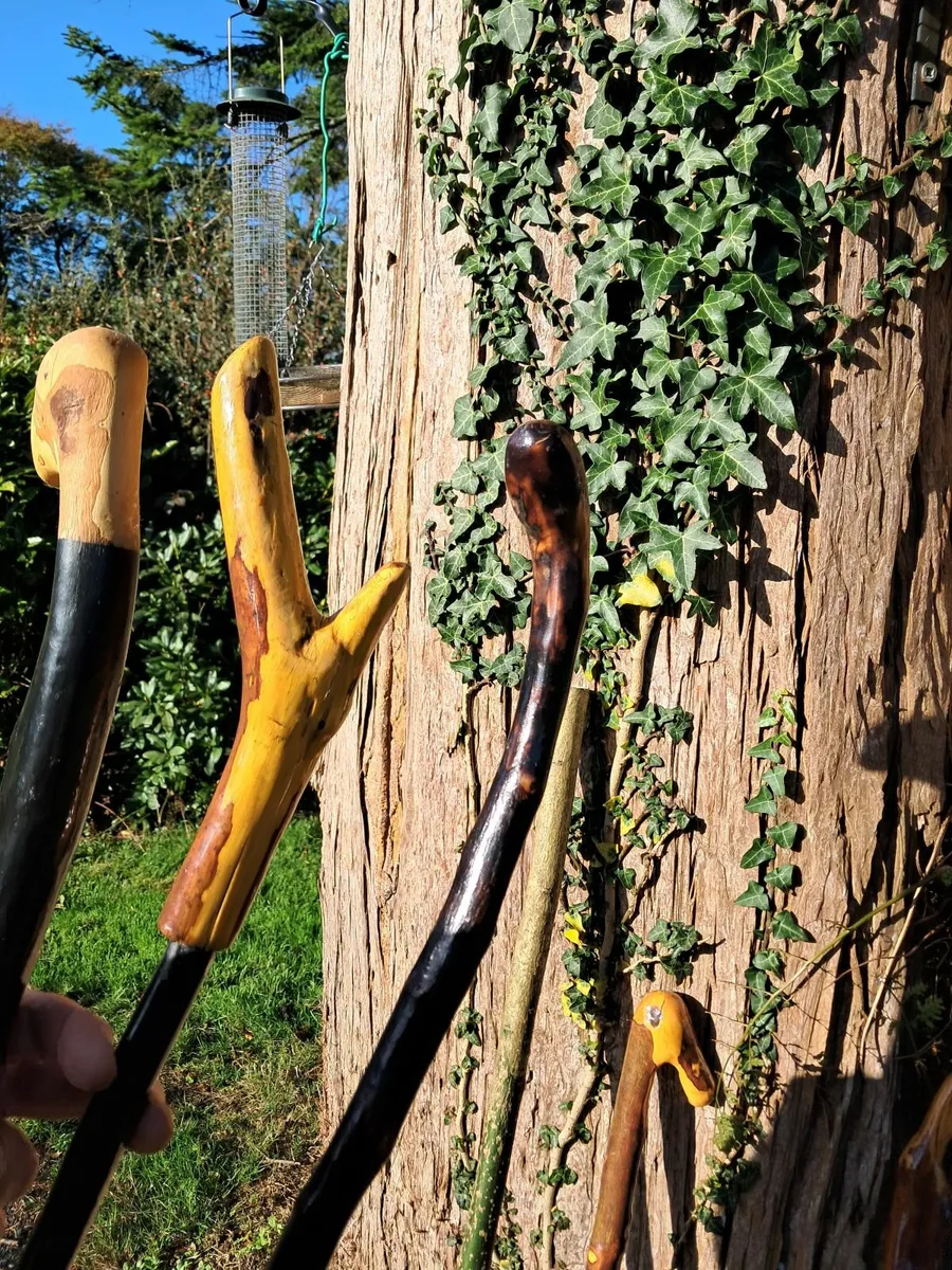 Handmade Blackthorn walking stick - Image 3