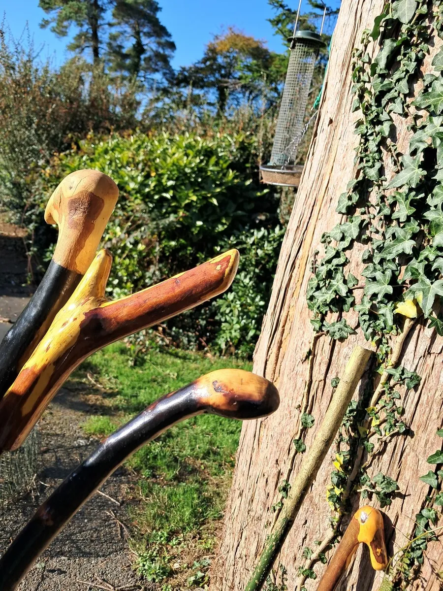 Handmade Blackthorn walking stick - Image 4