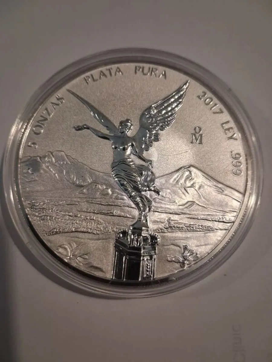 5 oz silver coin - Image 1