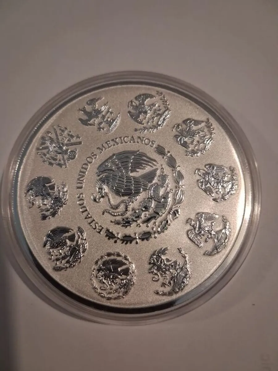 5 oz silver coin - Image 2