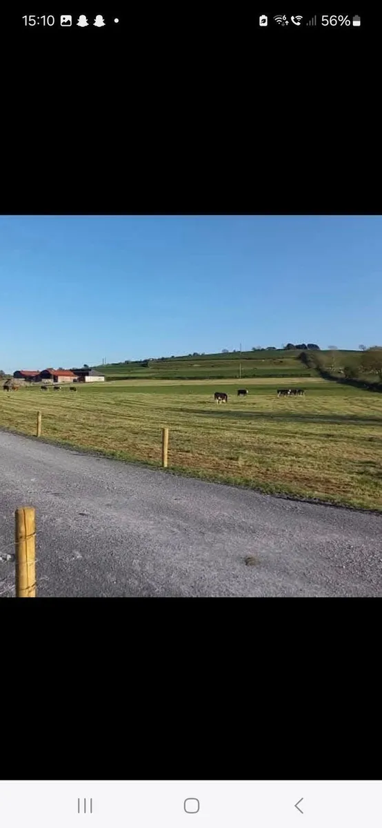 Contract rearing - 2026 season - Image 2