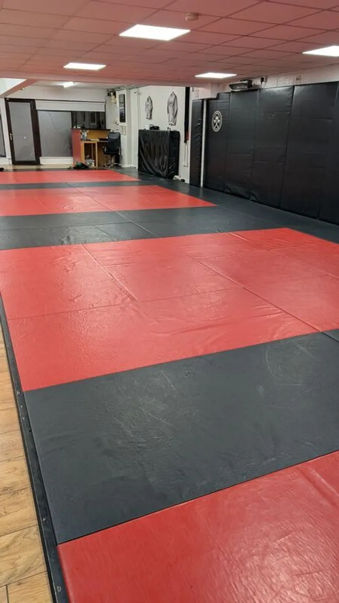 BJJ / Martial Arts Mats - Image 1