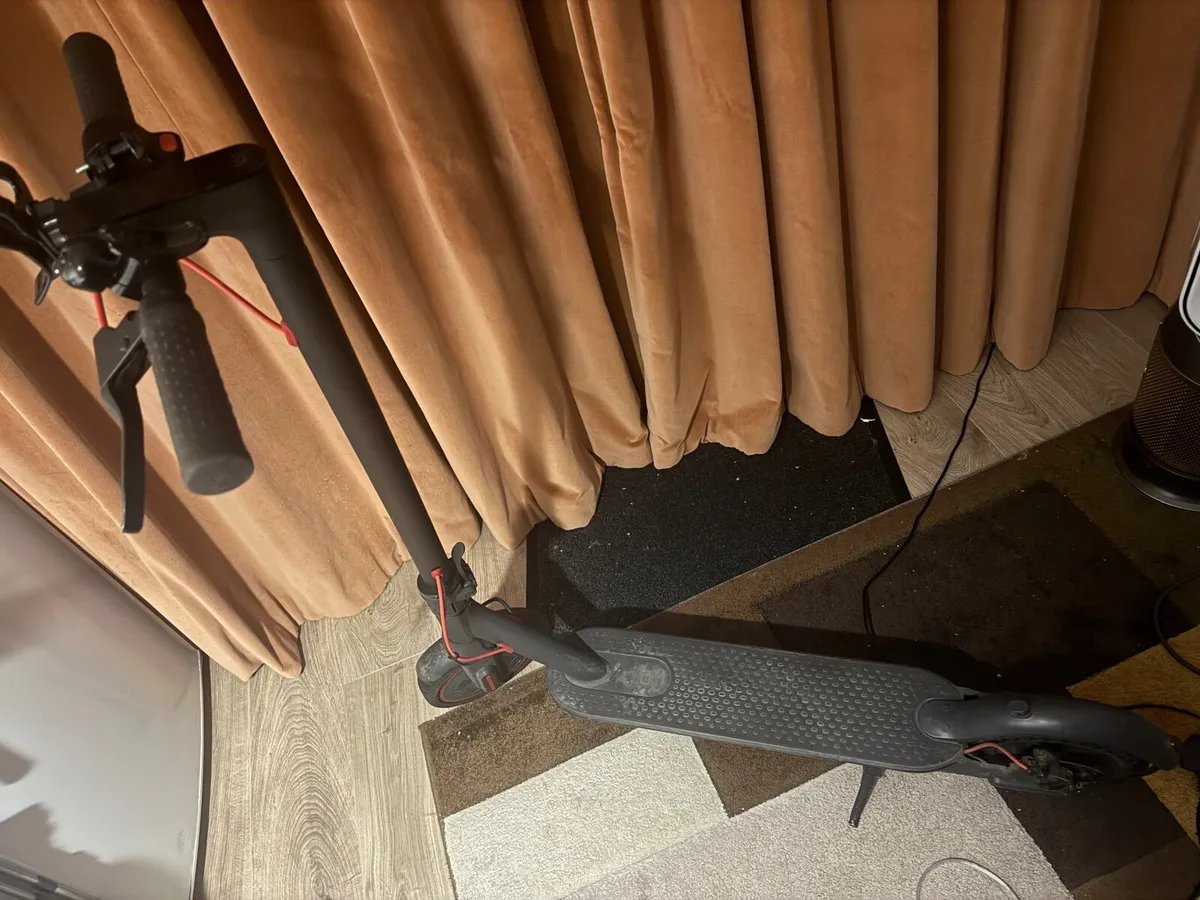 Electric Skooter - Image 2