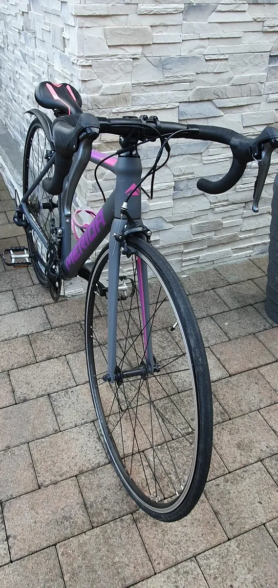 Ladies Bicycle - Image 2