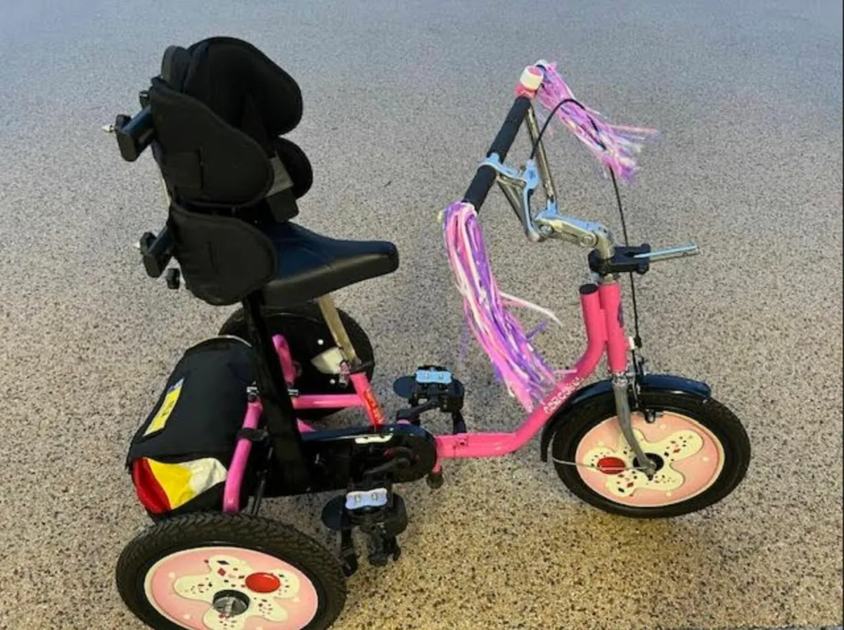 Quest 88 Colt Tricycle / bike for 4-8 yrs - Image 1