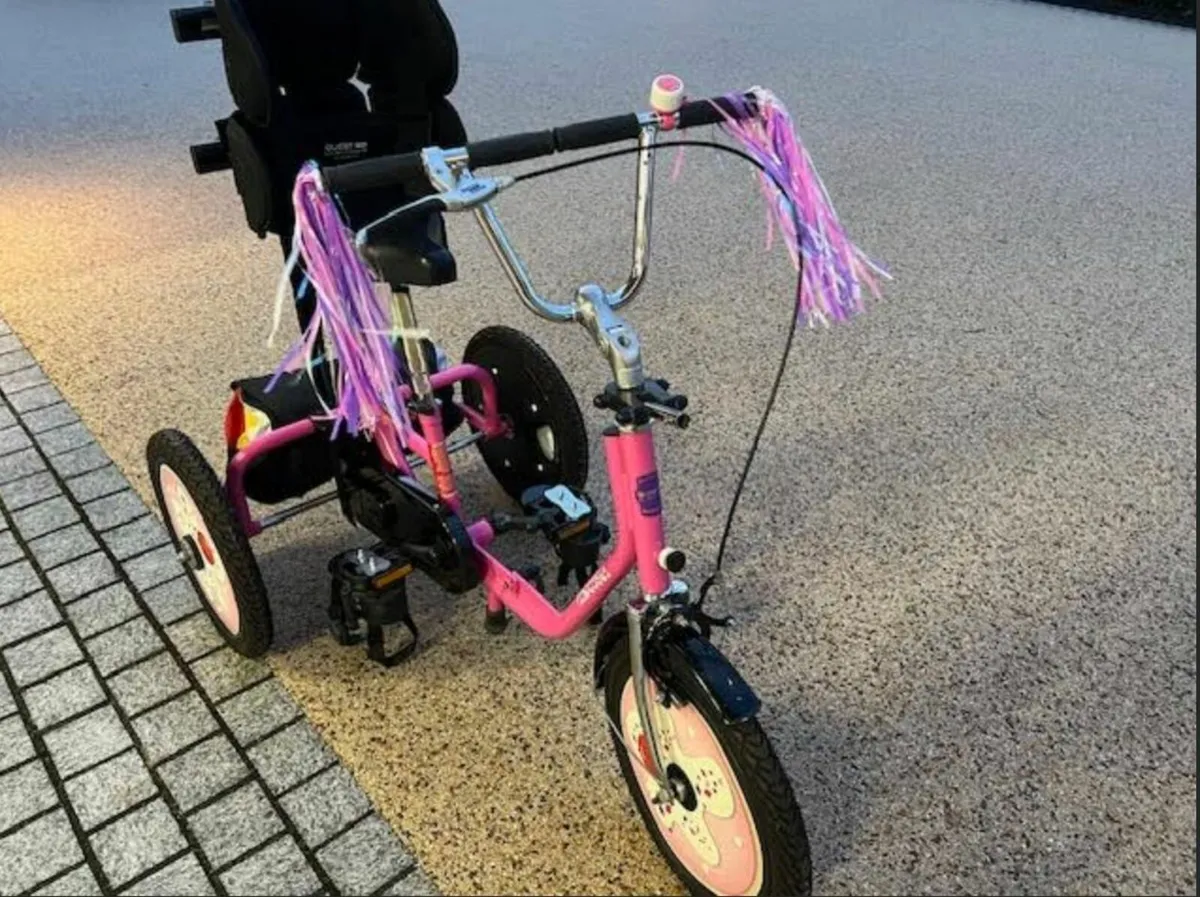 Quest 88 Colt Tricycle / bike for 4-8 yrs - Image 2