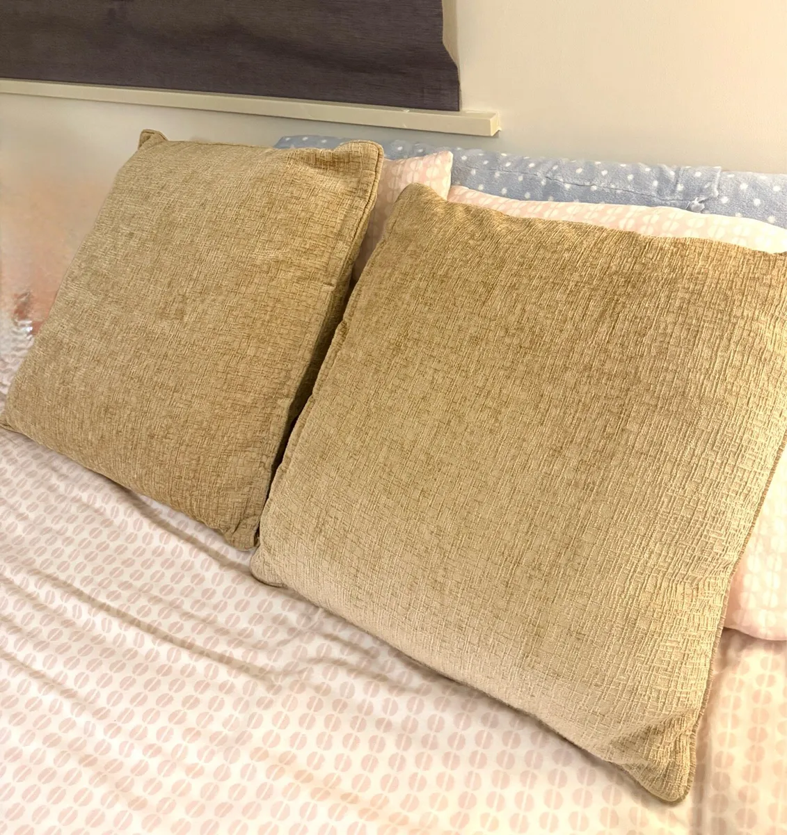 Set of 2 Large Decorative Cushions - Image 1