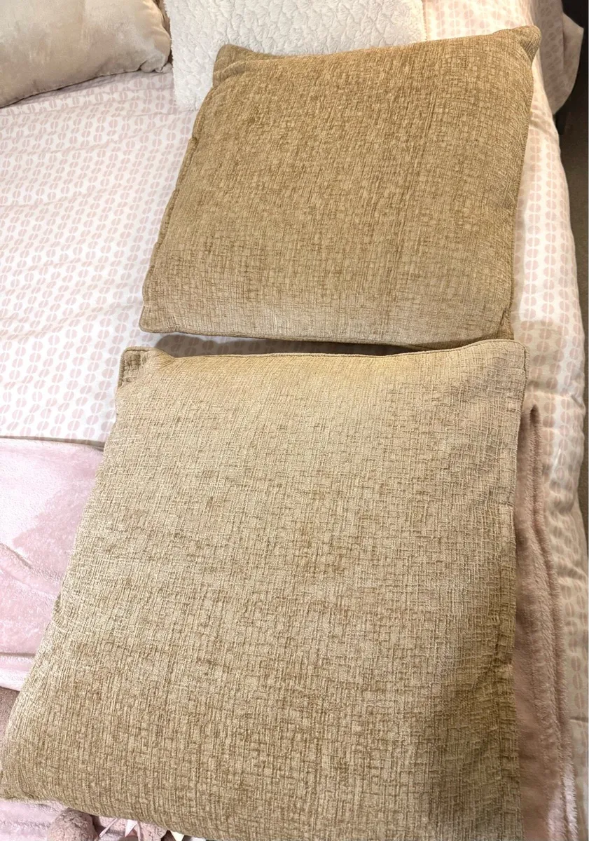 Set of 2 Large Decorative Cushions - Image 2