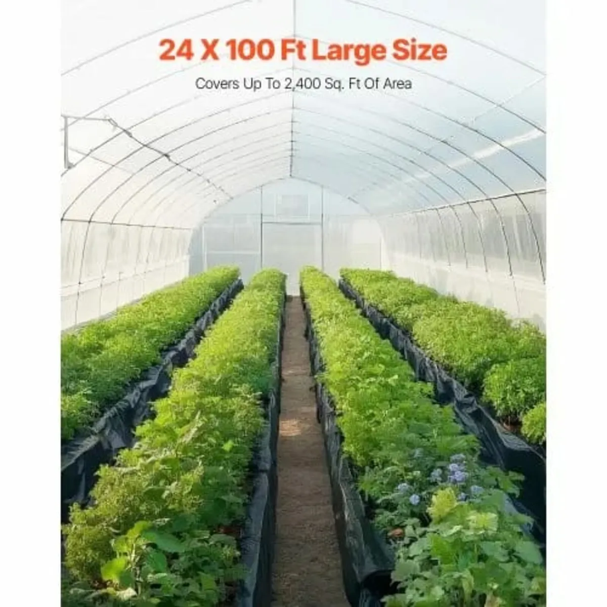 6Mil Plastic Sheeting Roll 24 x 100 FT Heavy Duty - Image 3