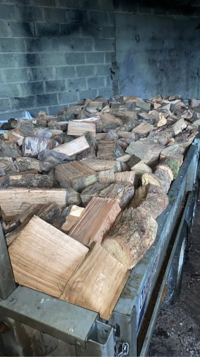 Firewood - Image 2
